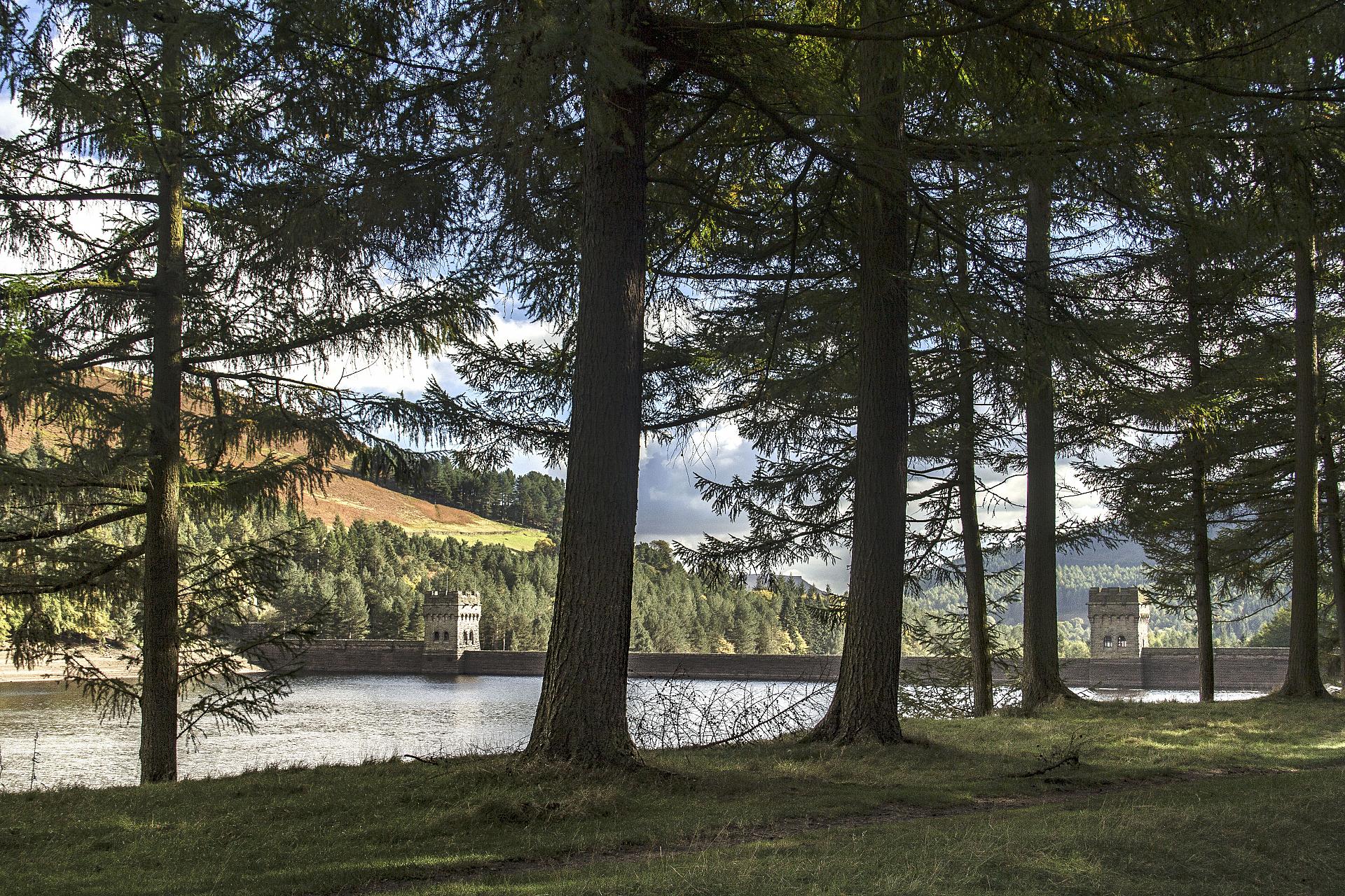 Derwent Dam through the conifers