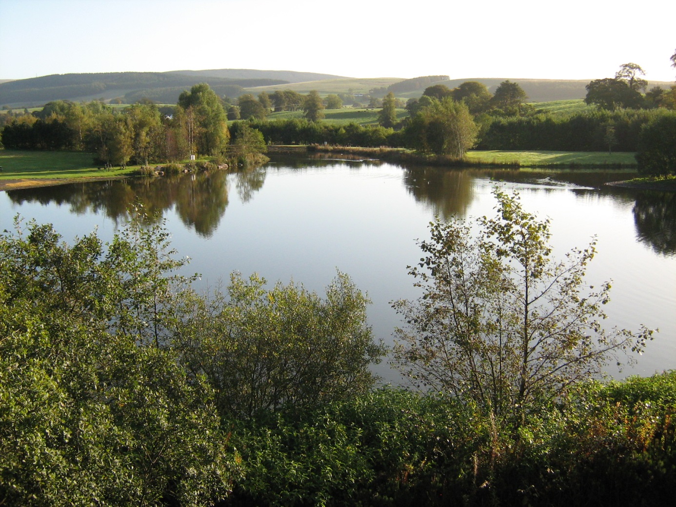 Annandale Water © Chris Speight