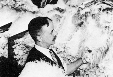 Ostrich feathers in warehouses