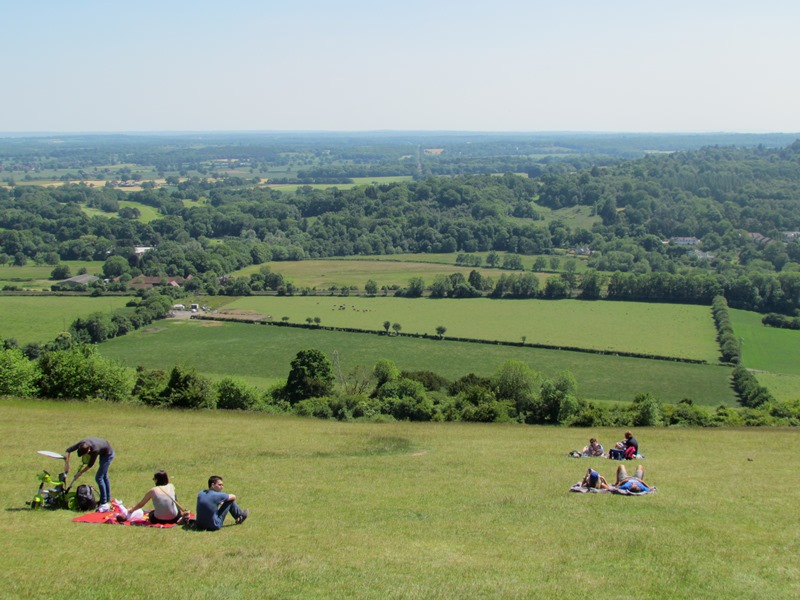 View from Box Hill 