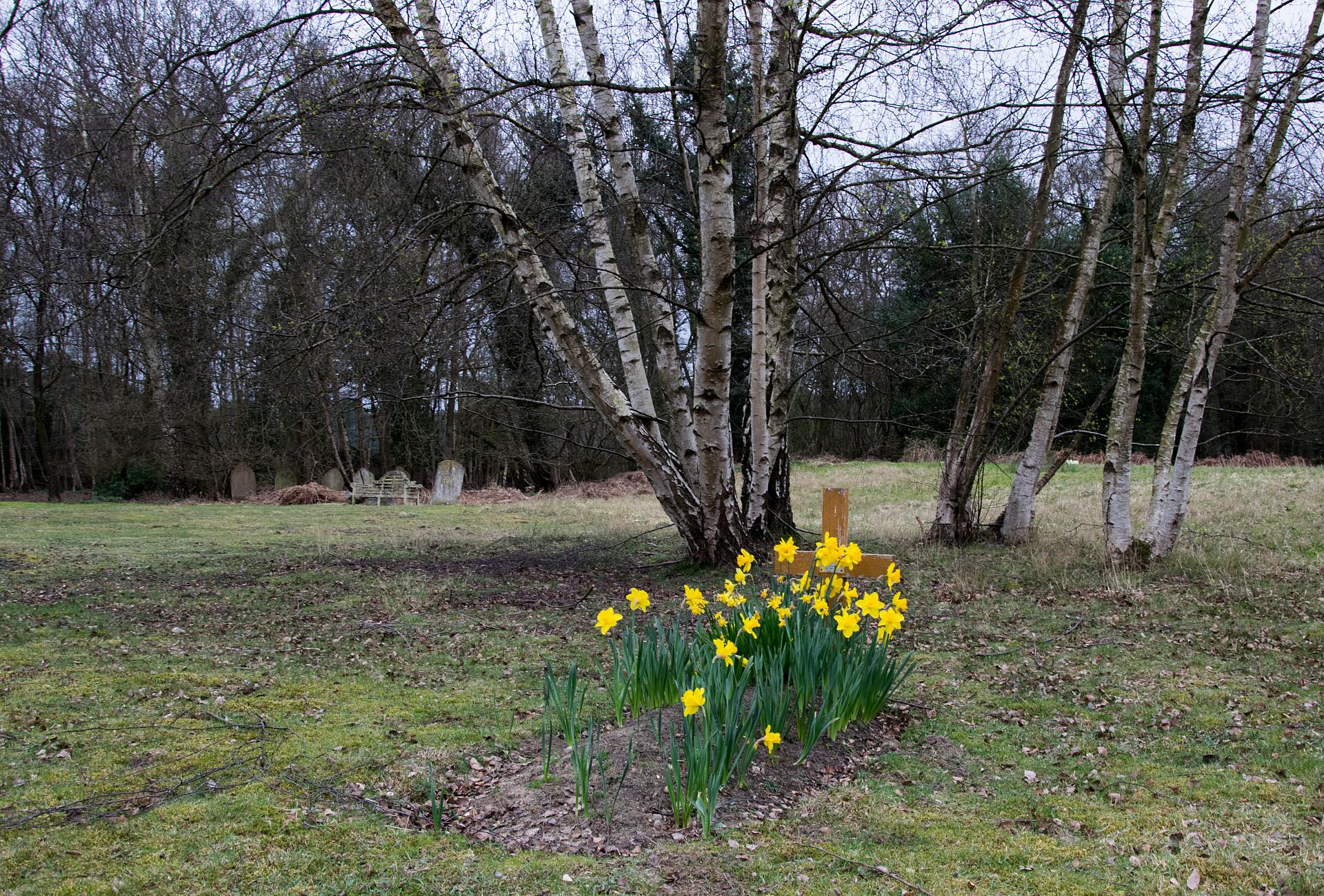 Grassy area with unmarked graves © Mary-Ann Ochota
