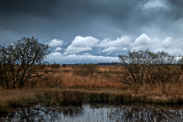 Cors Caron, Flickr CC, Simon Evans