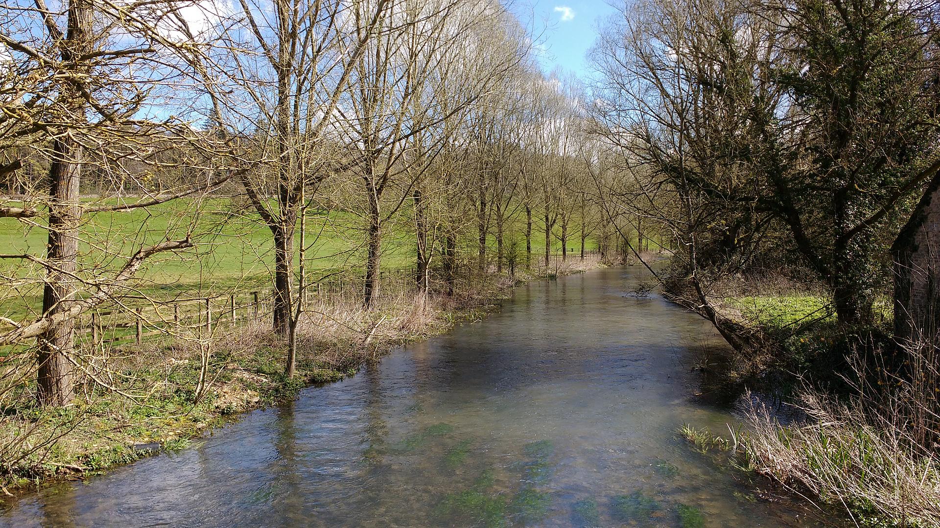 The River Coln © Jo Kemp