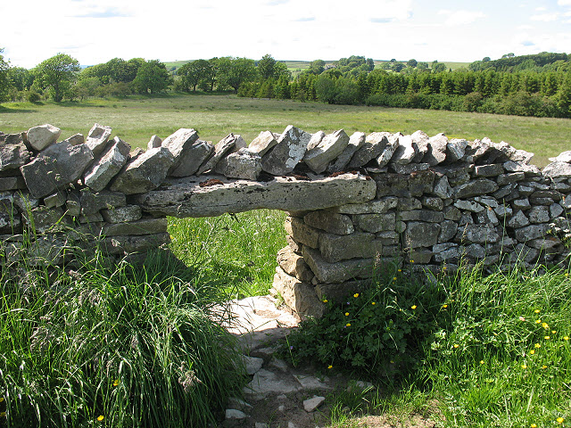 A Sheep Creep © Wikimedia (CCL)