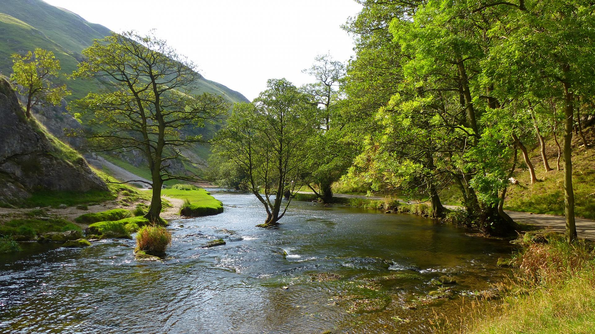 River Dove