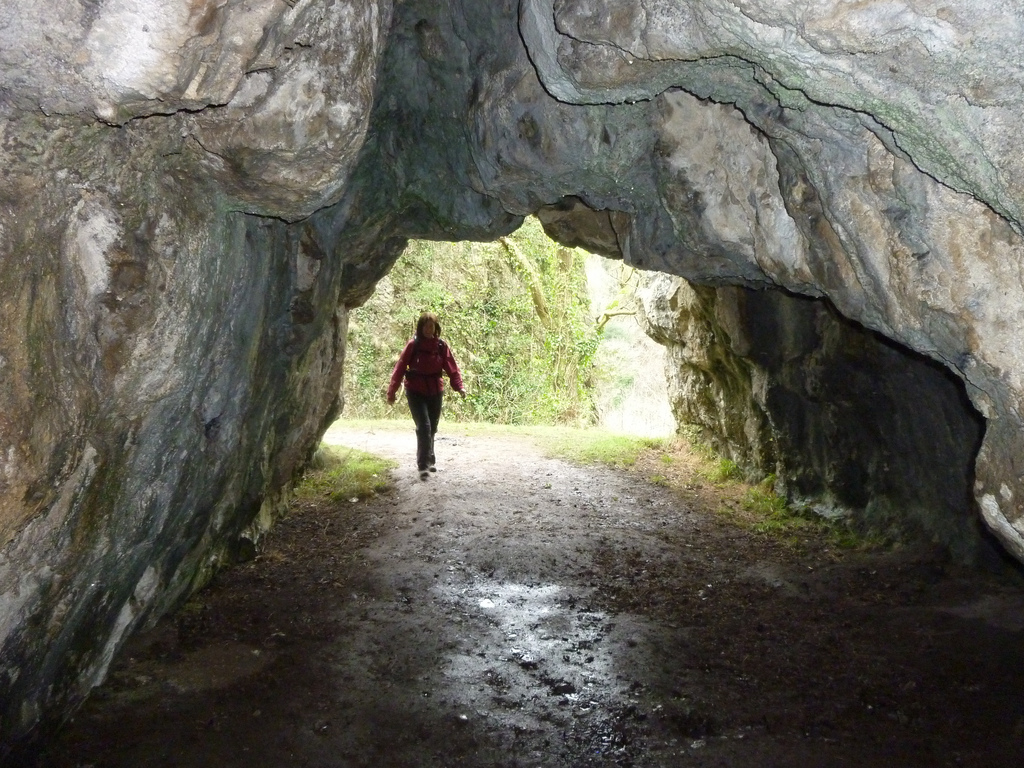 Reynards cave