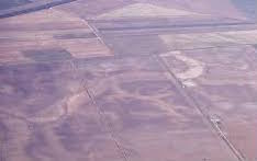 Aerial photograph showing the extinct course of rivers (knowns as roddons) in Cambridgeshire © Cambridges Air Photos 