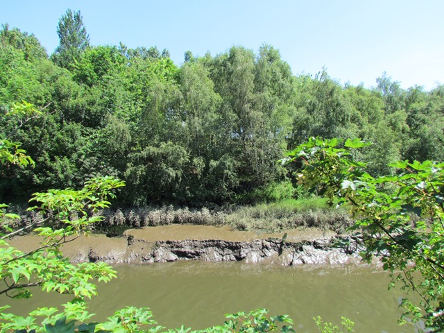 Saltmarsh Garden