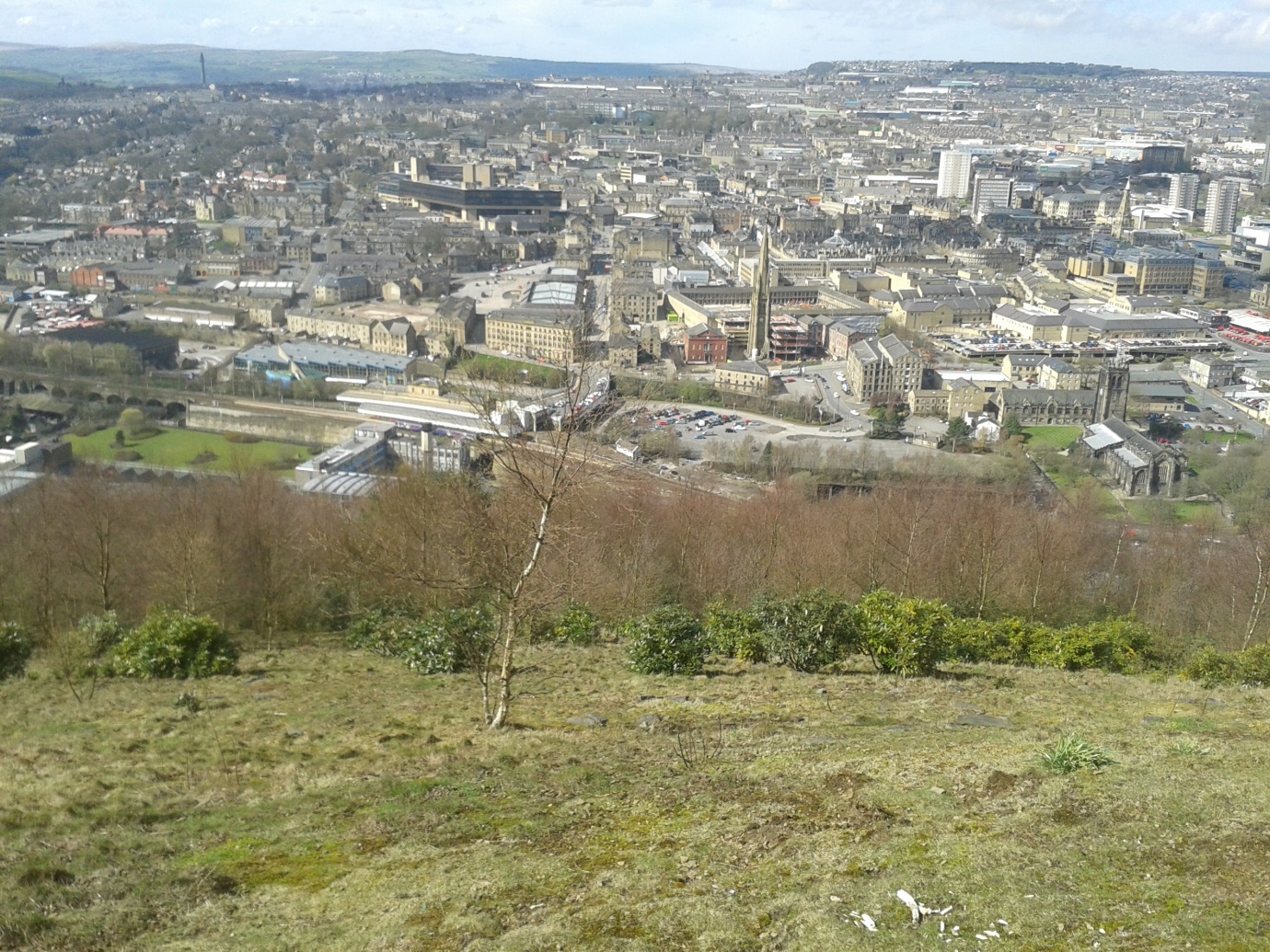 View from Beacon Hill