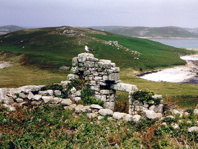 Remains on Samson