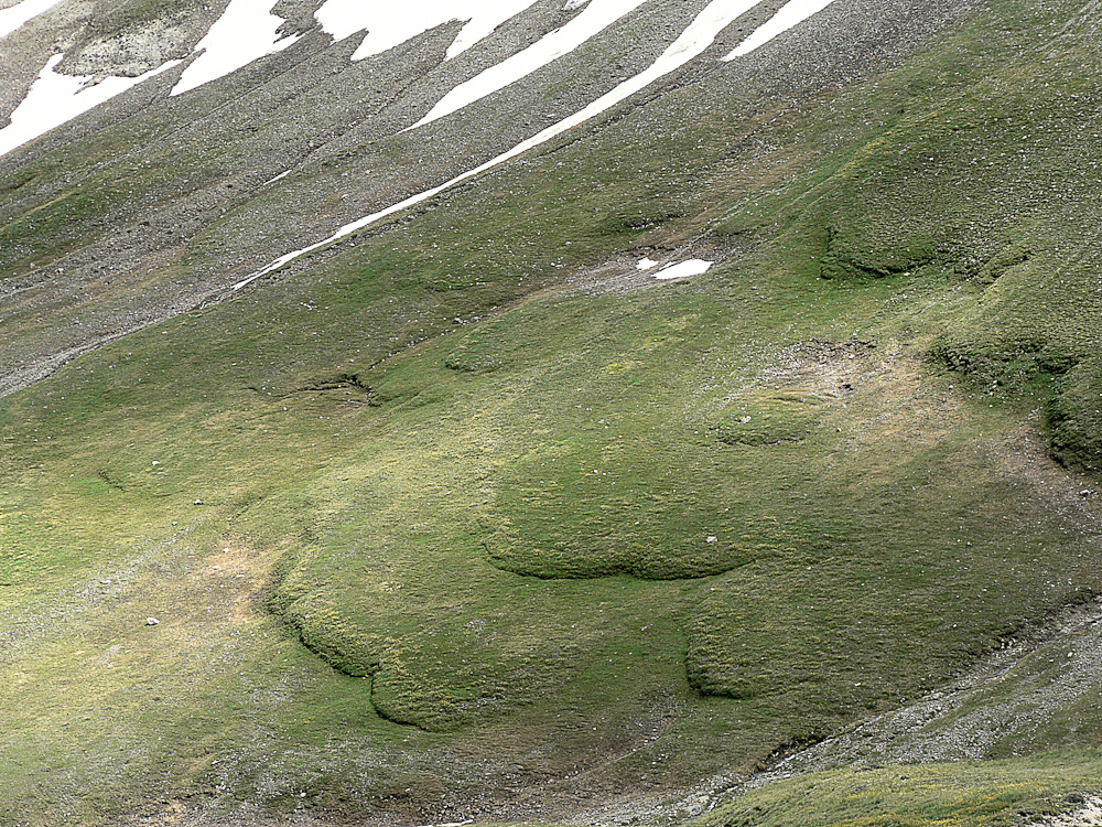 solifluction lobes