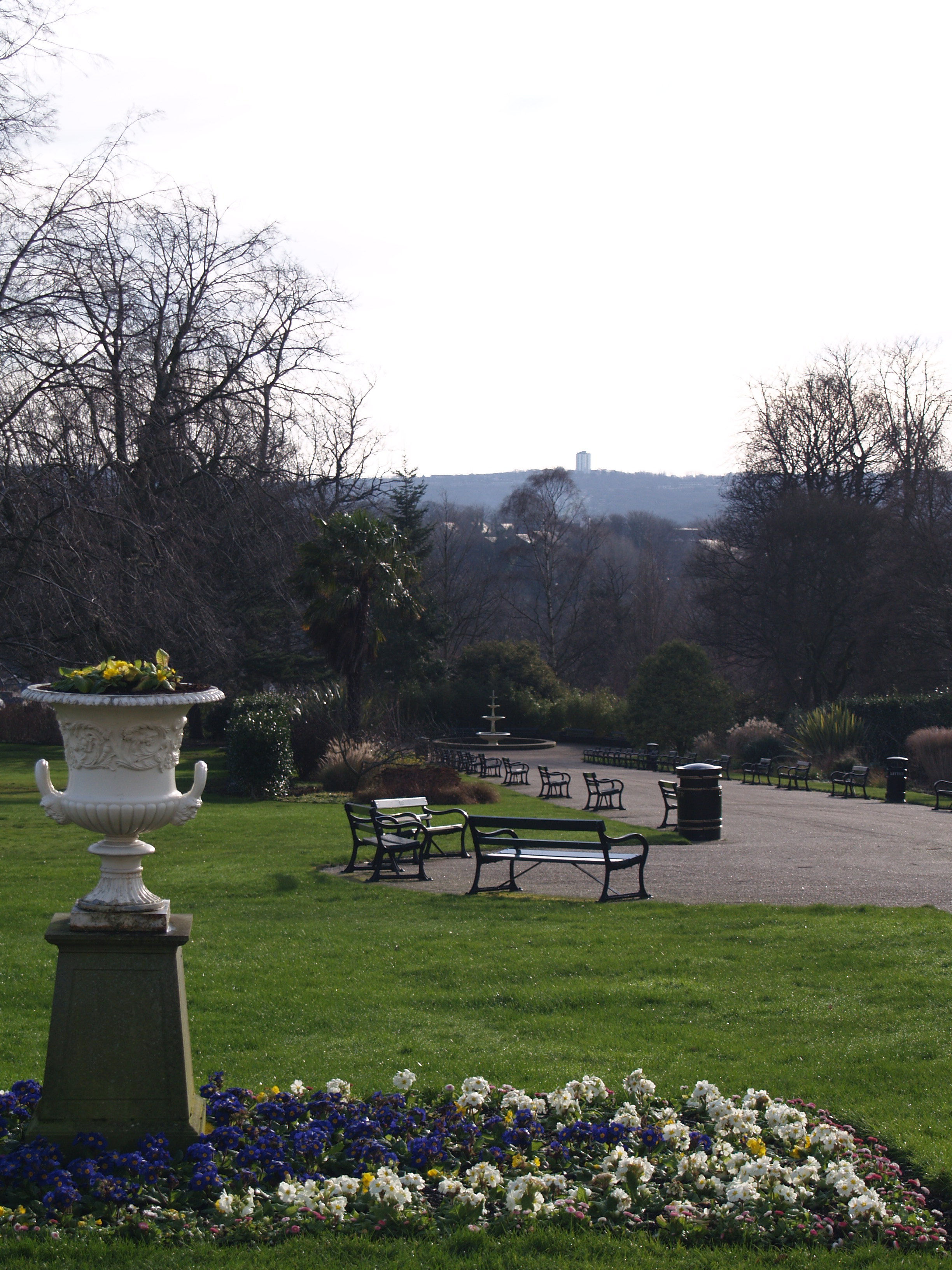 Botanical Gardens view