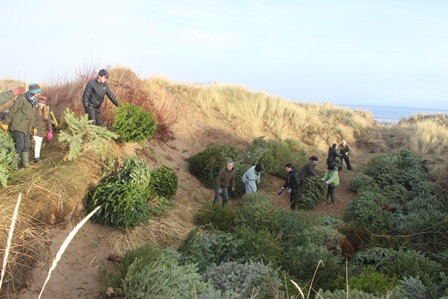 Christmas trees on West Sands