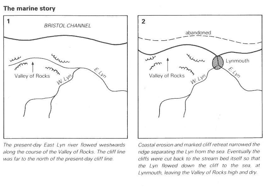 The marine story