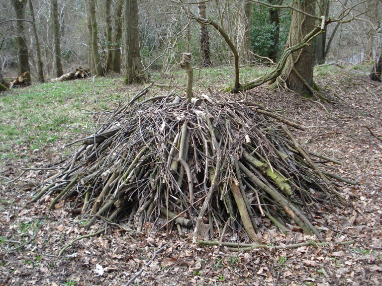 Wood is heated with restricted oxygen to produce charcoal © Jenny Lunn 