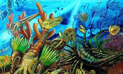 Jurassic sea creatures